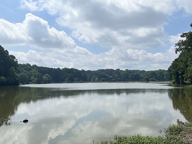 Murphey Candler Lake 2024