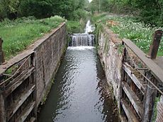 North Walsham to Dilham Canal - geograph.org.uk - 425938