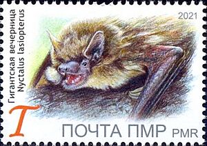 Nyctalus lasiopterus 2021 stamp of Transnistria