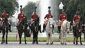 Pakistan cavalry honor guard