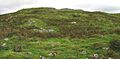 Pen y Dinas hillfort from the west - geograph.org.uk - 531429