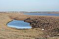 Percolation lagoon at Shingle Street - geograph.org.uk - 661396