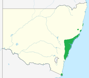 Persoonia levis range.png