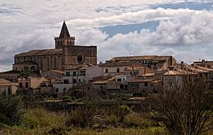 A general view of Porreres