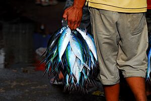 Port Moresby Fish Market