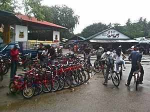 Pulau Ubin cycle hire