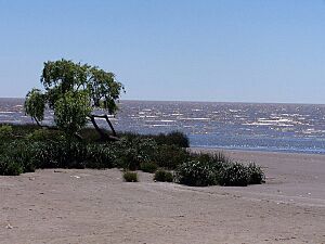 Punta Lara Playa