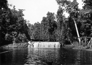 Queensland State Archives 1283 Malanda Falls and Swimming Pool NQ c 1935