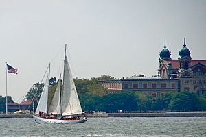 Shearwater by Ellis Island.JPG