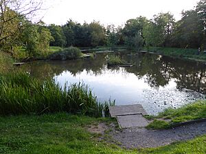 Snibston Grange 3