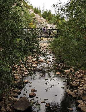 Soda Creek at Yampa River confluence