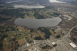 Somenos Lake Aerial.jpg