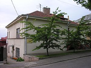 Sugihara-konsulat w Kownie