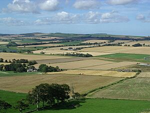 The Bruce Field