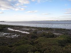 The Solway shore at Bowness - geograph.org.uk - 2178040.jpg