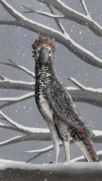 Tianyuraptor restoration.png