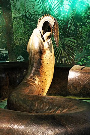 Titanoboa Facts For Kids