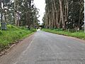 Verde Road at Purisíma
