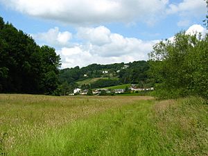 Wye Valley walk near Courtfield - geograph.org.uk - 1433018