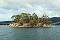 2018-02-15 111355 Port Arthur Isle of the Dead anagoria