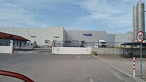 20250623 155847 Mondelēz factory in Tomaszów Mazowiecki, Poland