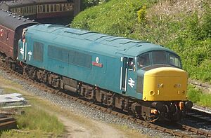 45135-cropped