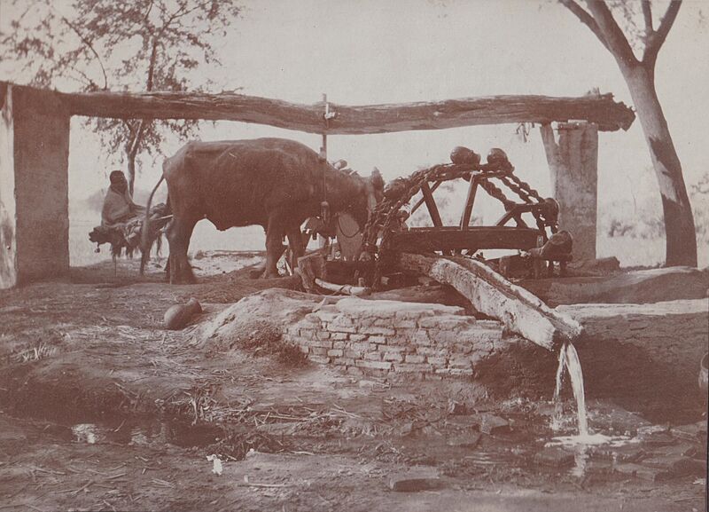 A Punjab Wheel, India c1919