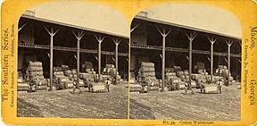Adams & Bazemore Cotton Warehouse, 4th near Poplar, circa 1877 - DPLA - ac19dd57ddd5c80ffc06be2d5045bd4a
