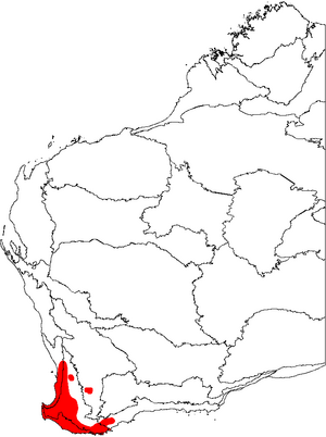 Adenanthos obovatus map