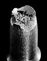 Aluminiumzugprobe 02