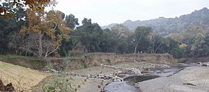 Arroyo de la Laguna Restoration Project 2006.jpg