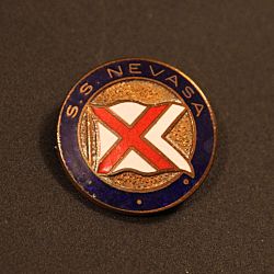 BI Nevasa badge.jpg