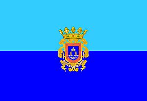Bandera de San Javier