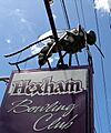 Big Mosquito Hexham
