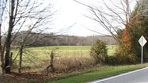 Bullskin Creek Site from highway
