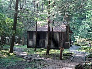 Cabin 6, Holly River State Park