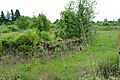 Camp Adair remains