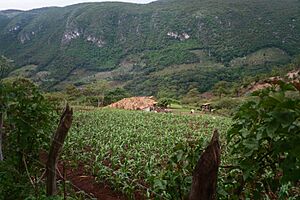 CelaqueAgriculture