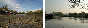 Chiswick Eyot channel at low tide vs high tide