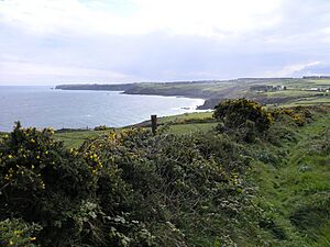Coastal path in Ballynagaul More (Baile na nGall Mór) townland