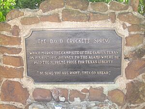 David Crockett Spring IMG 6242