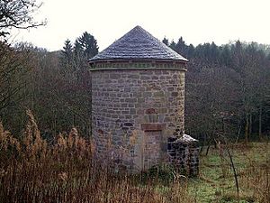 Dovecote - geograph.org.uk - 1604586