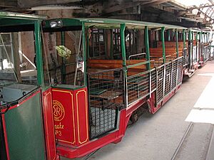Driving Creek Railway carriages awaiting departure