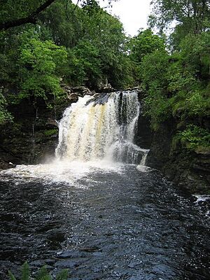 Falls of Falloch - geograph.org.uk - 47481.jpg