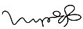Han Hyo-Joo 한효주 Signature