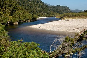 Heaphy River