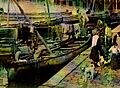 Kantauriar ur-txakurra1