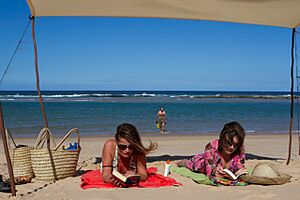 La plage aux dunes de Dovela - 2012-04-28 - 75154574