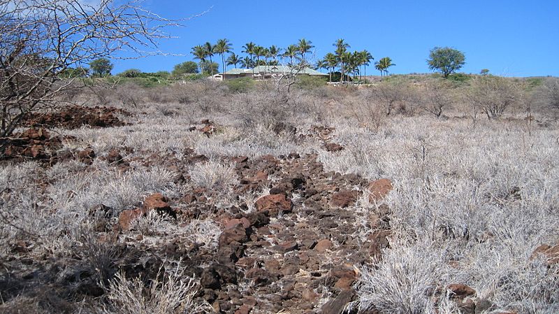 Lanai-Kapihaa-stonepath&clubhouse