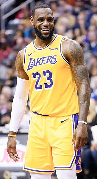 LeBron James crop